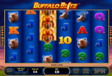 buffalo blitz playtech automat online