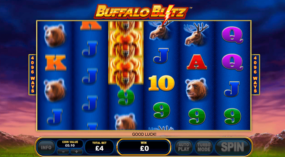 buffalo blitz playtech automat online 