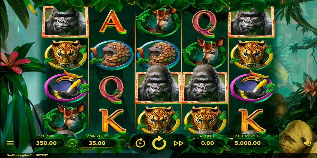 gorilla kingdom netent automat online 