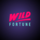 Wild Fortune Kasyno